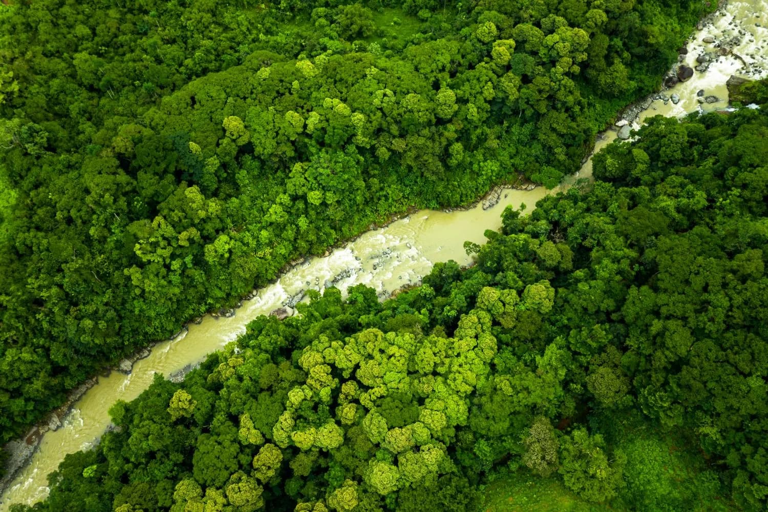 The Naranjo River at the lower boundary