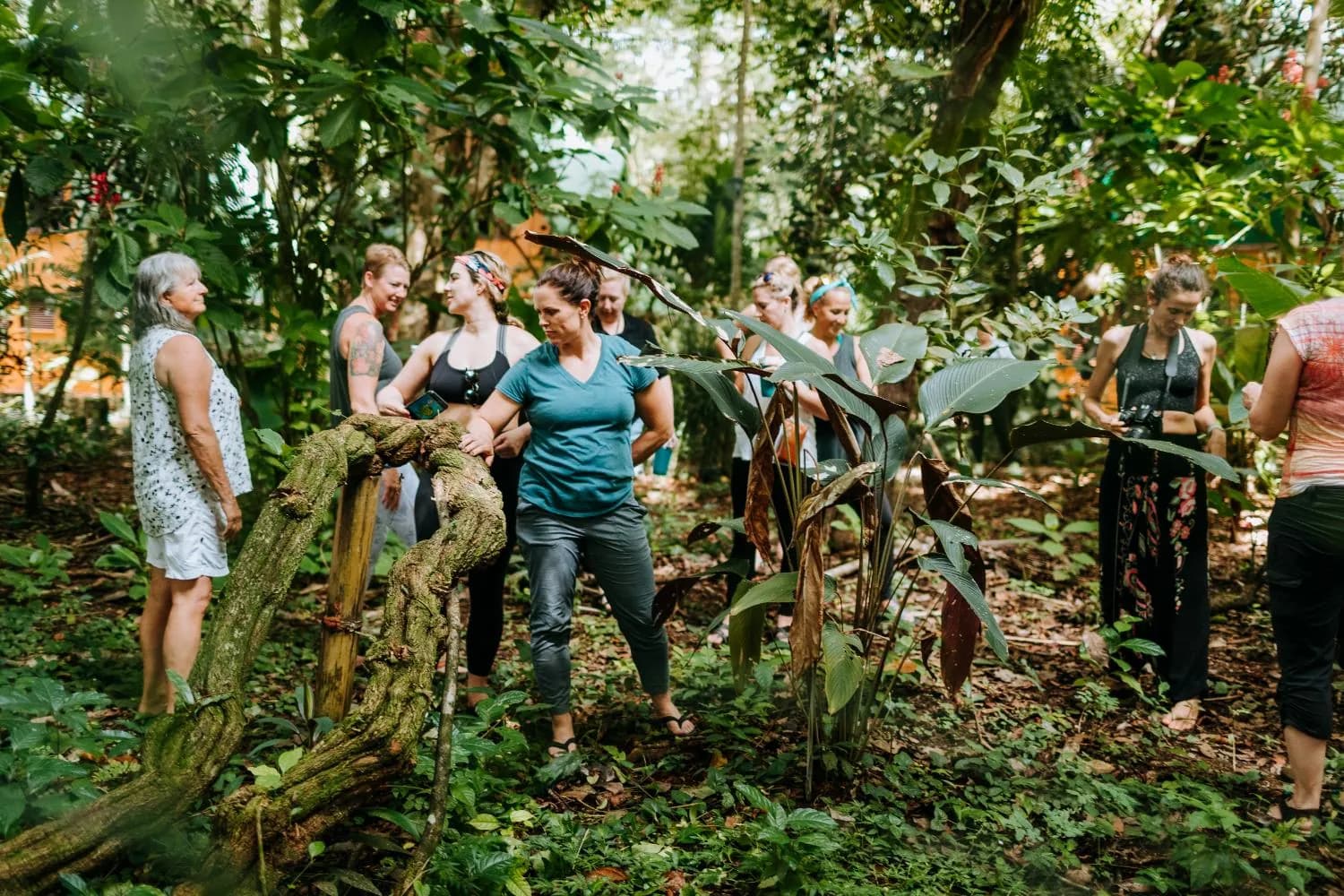A group walking the forest