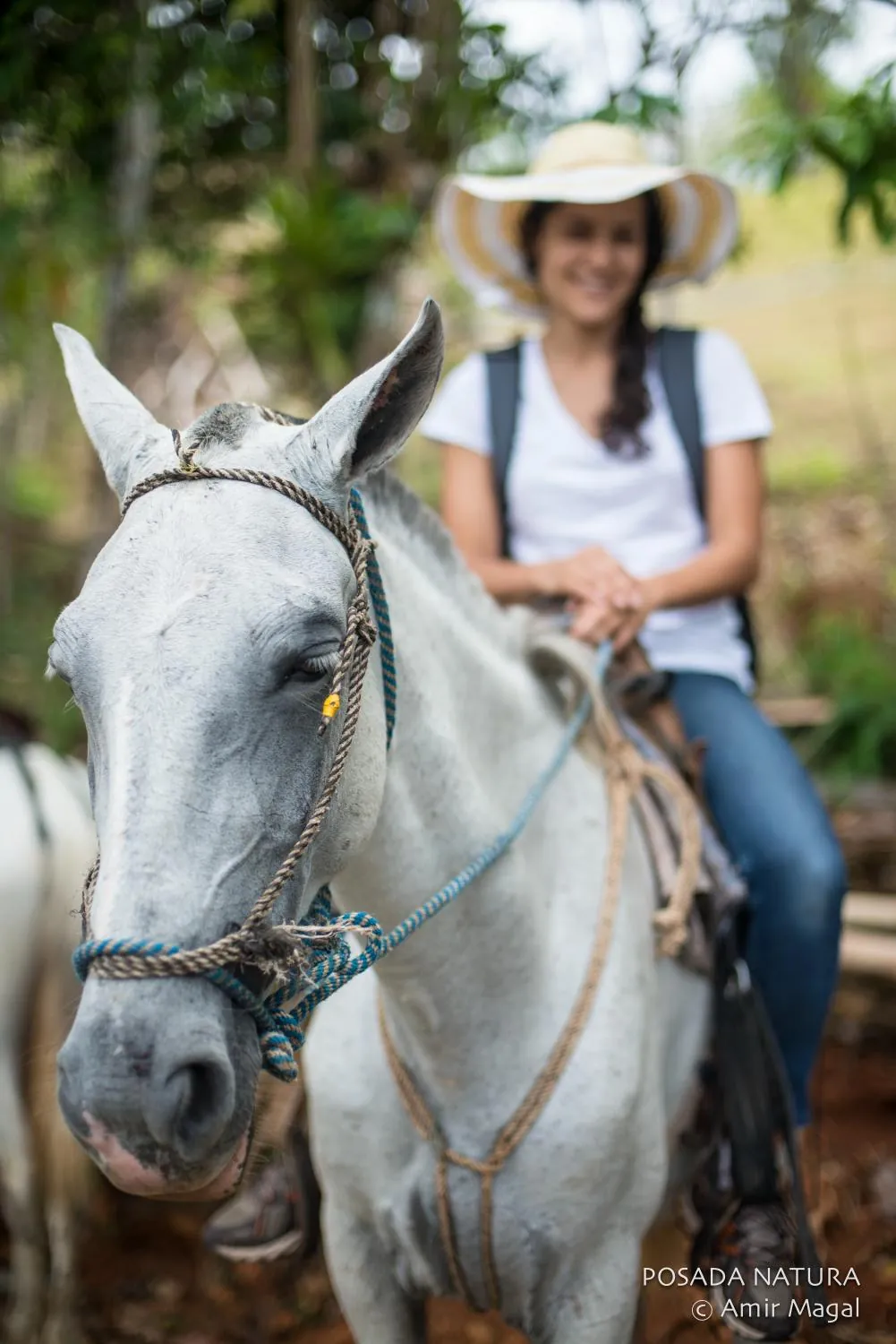 Setting out from Posada Natura on horseback