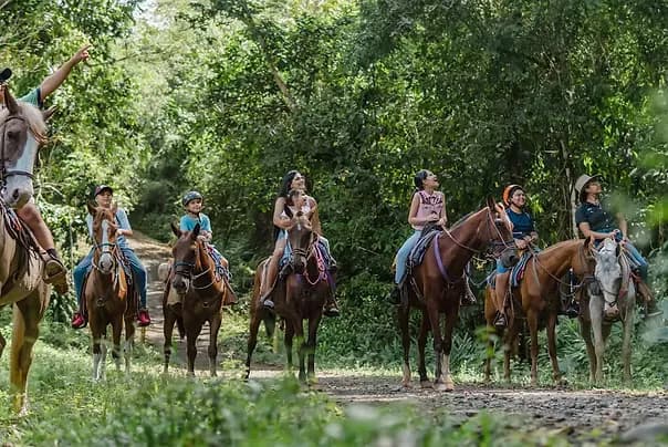 A riding excursion on the forest track