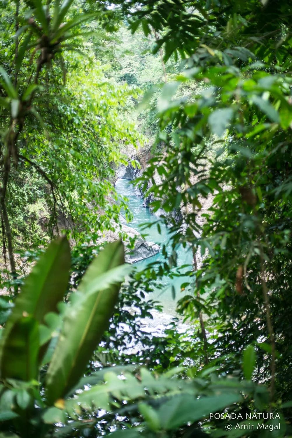 The river gorge cutting through the lower property